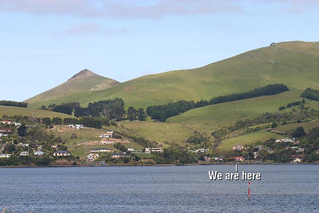 Castlewood Cottage Company Bay Dış mekan fotoğraf