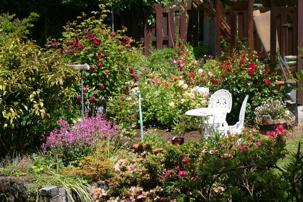 Castlewood Cottage Company Bay Dış mekan fotoğraf